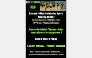 Samedi 20h45 au Palais des Sports : Allez l'ESV !