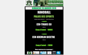 AFFICHE 20 JANVIER 2019: -11G2 et -11G1