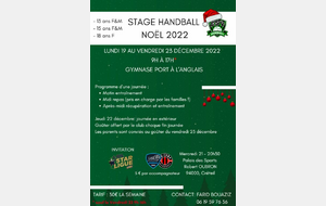 Stage Handball Noël 2022
