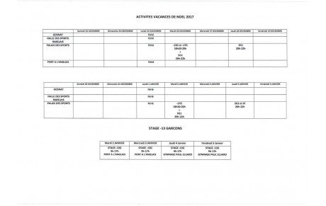 ACTIVITES VACANCES NOEL 2017